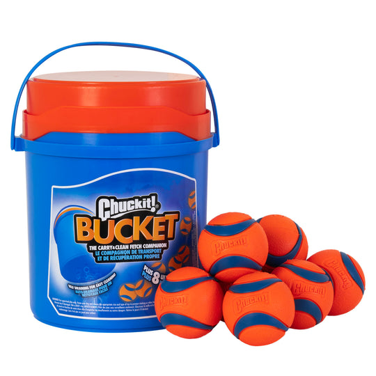 Sample fetch toys